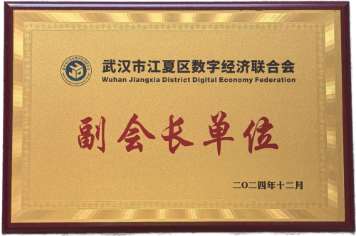 武漢龍媒榮膺江夏區(qū)數(shù)字經(jīng)濟(jì)聯(lián)合會(huì)副會(huì)長(zhǎng)單位，以網(wǎng)絡(luò)產(chǎn)品研發(fā)與運(yùn)營(yíng)賦能區(qū)域數(shù)字經(jīng)濟(jì)發(fā)展